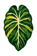 Tropical Leaf Cat Scratcher