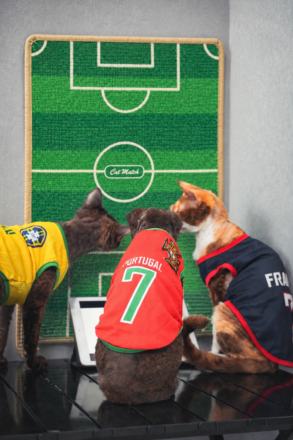 Cat Match Football Pitch Cat Scratcher